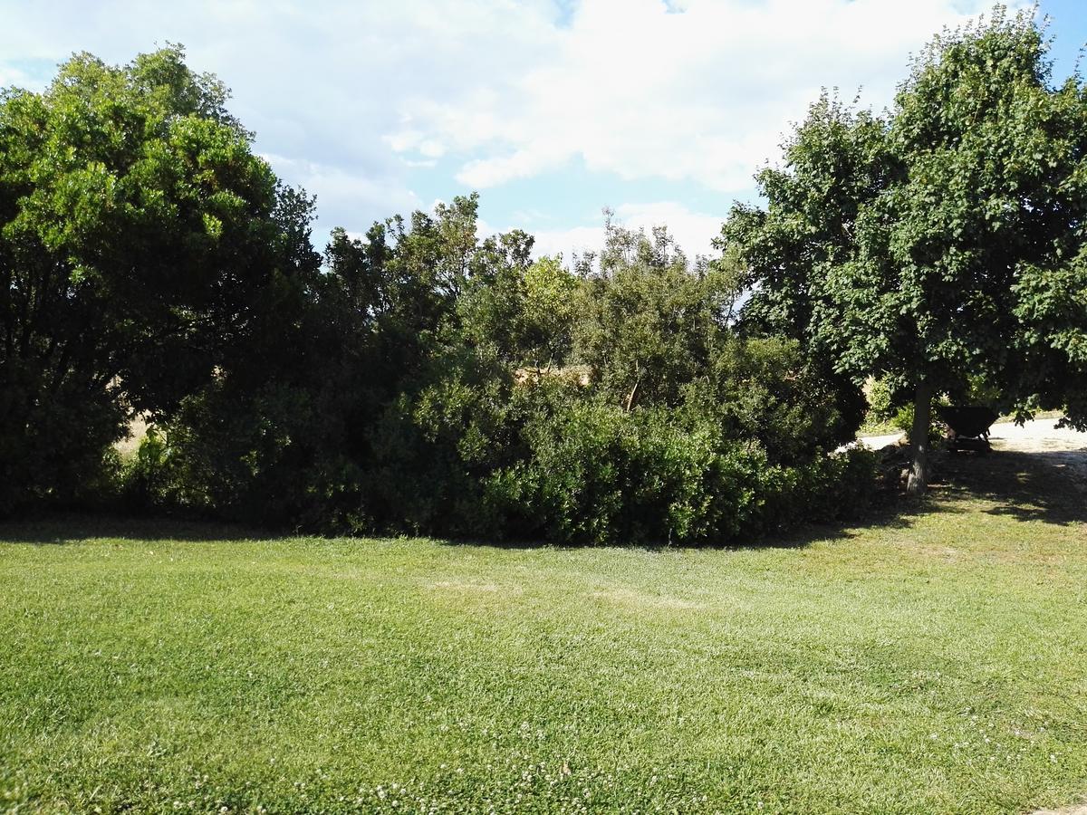 Casale Farnesiana B&B Tarquinia Esterno foto
