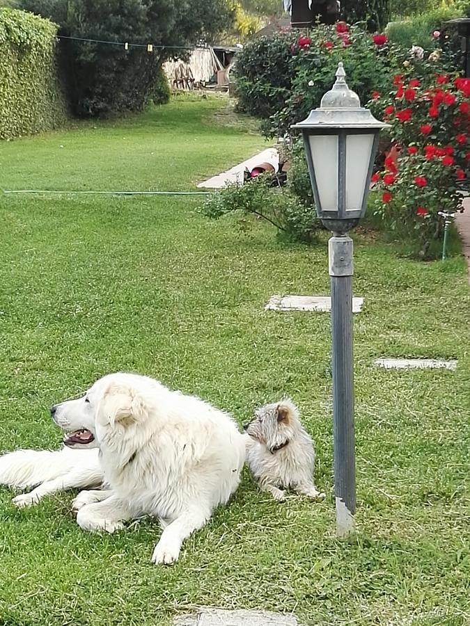 Casale Farnesiana B&B Tarquinia Esterno foto