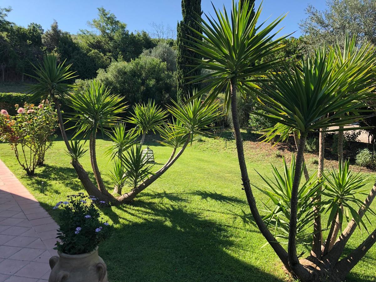 Casale Farnesiana B&B Tarquinia Esterno foto
